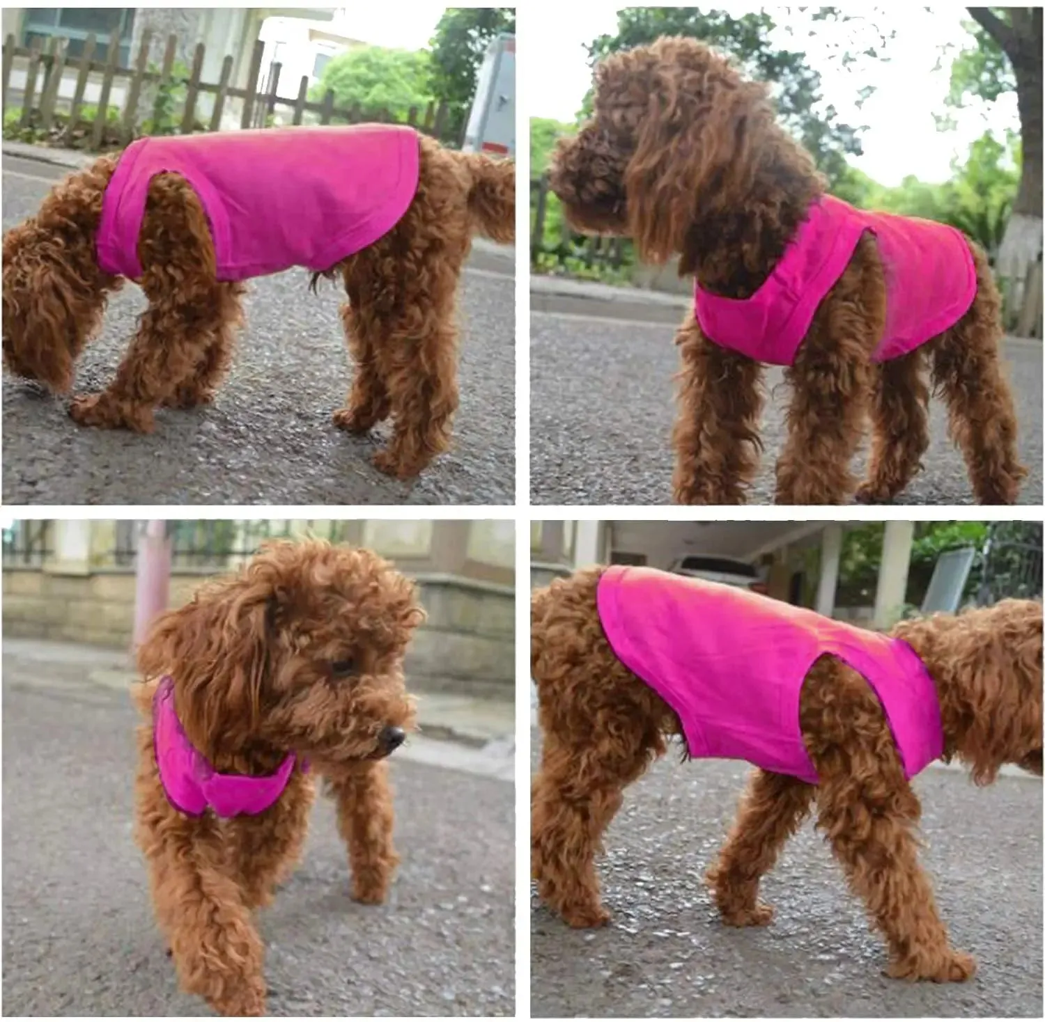 Cotton Puppy Shirt for Dogs