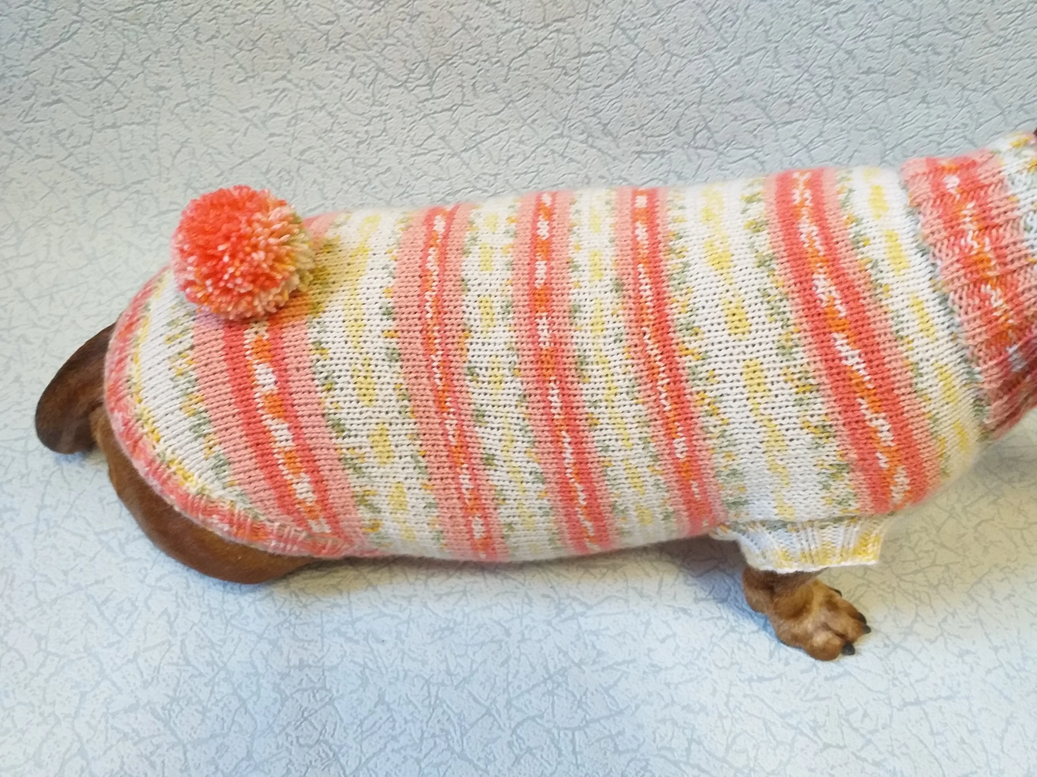 Knitted clothes dachshund sweater with pompom, dachshund clothes, dachshund sweater, doxie clothes