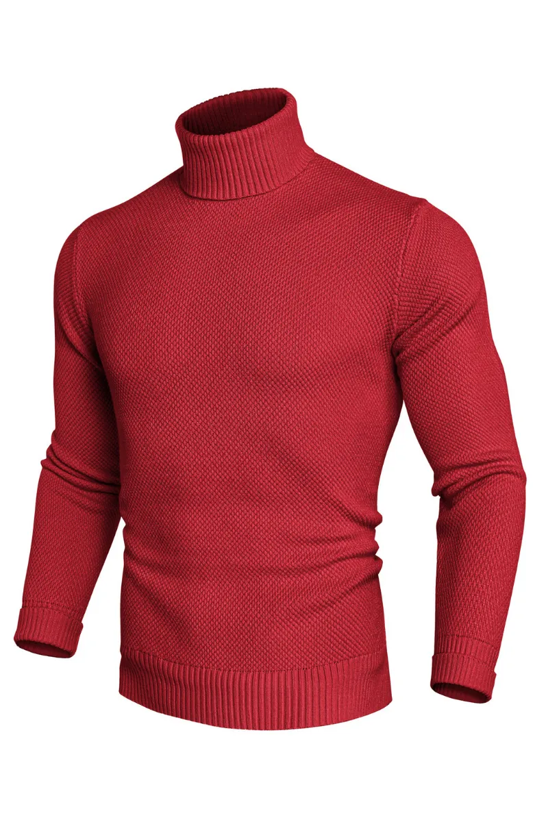 Men Turtleneck Sweater Long Sleeve Ribbed Cuff Textured Pullover Jumper