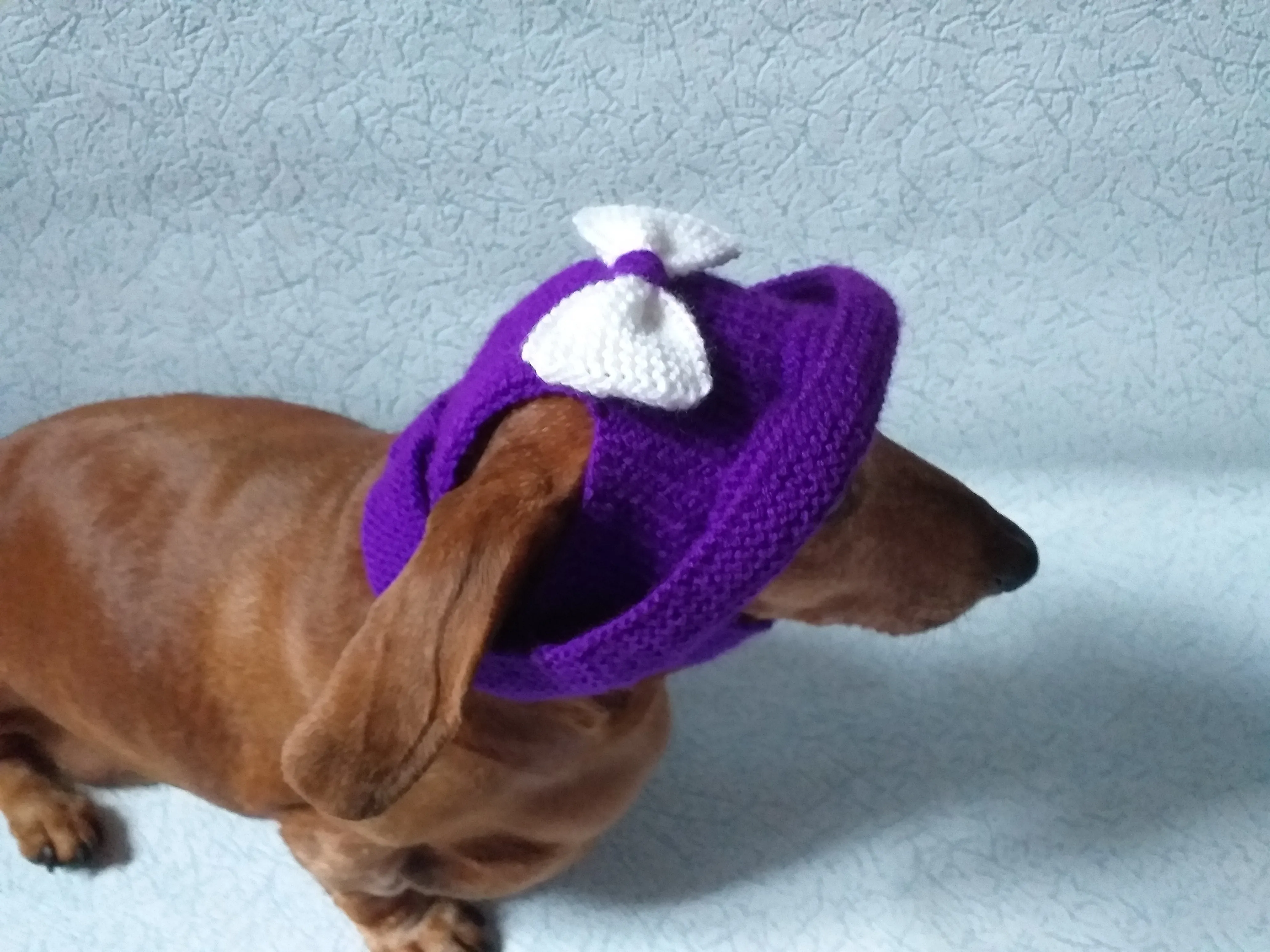 Purple dachshund costume sweater and hat, Costume for miniature dachshund, Doxie sweater and hat set