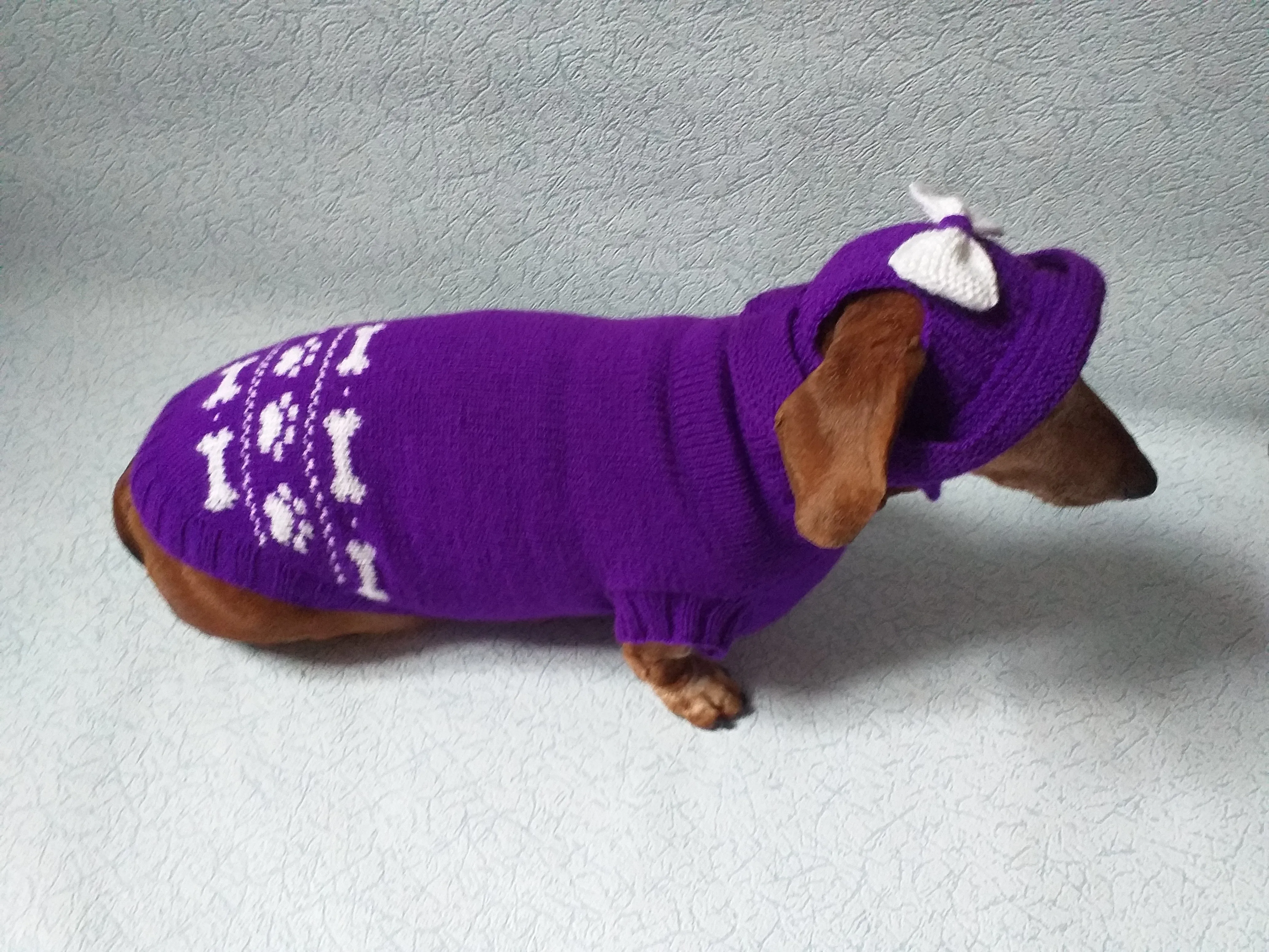 Purple dachshund costume sweater and hat, Costume for miniature dachshund, Doxie sweater and hat set