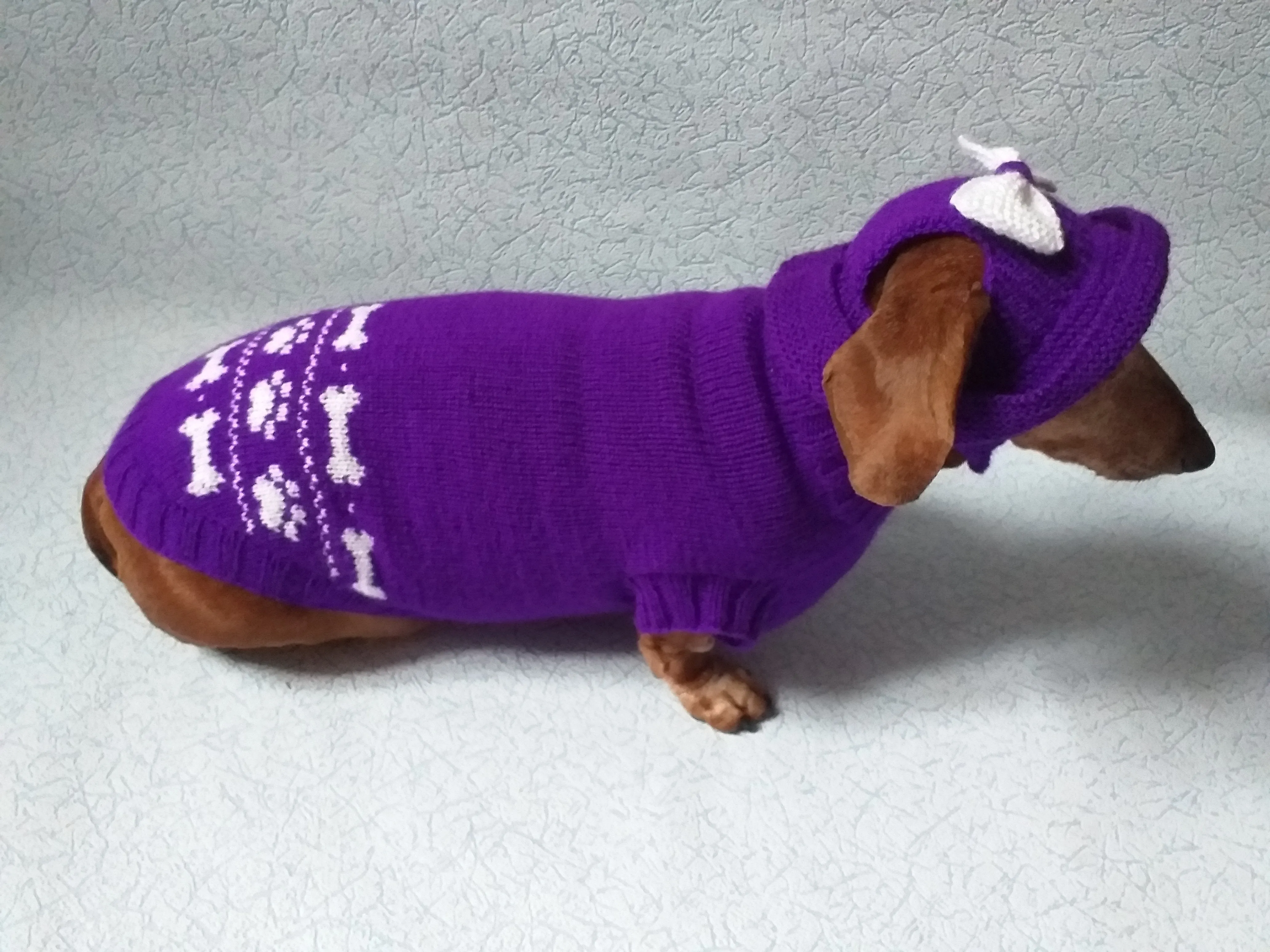 Purple dachshund costume sweater and hat, Costume for miniature dachshund, Doxie sweater and hat set