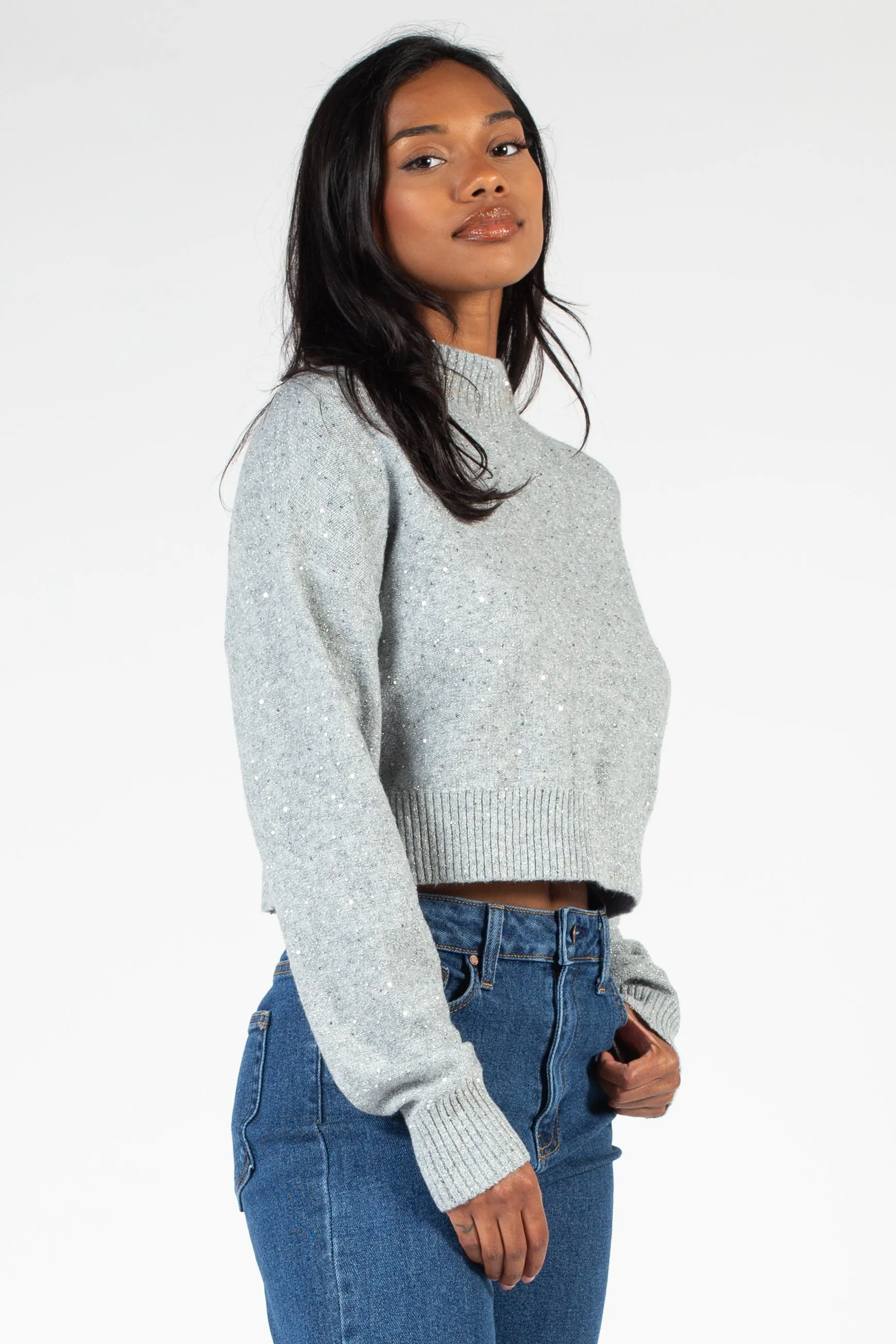 Twinkle Mock Neck Crop Sweater